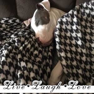 Meet your Posher, Marie